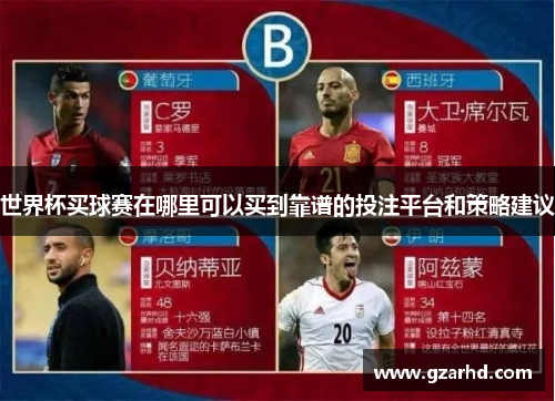 世界杯买球赛在哪里可以买到靠谱的投注平台和策略建议