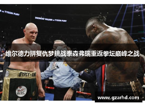 维尔德力拼复仇梦挑战泰森弗瑞重返拳坛巅峰之战