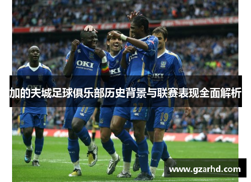 加的夫城足球俱乐部历史背景与联赛表现全面解析