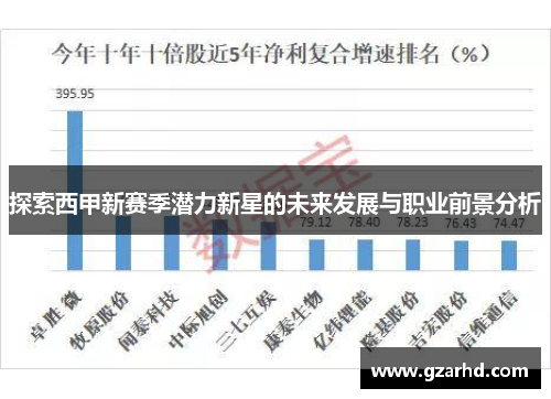 探索西甲新赛季潜力新星的未来发展与职业前景分析