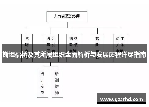 斯坦福桥及其所属组织全面解析与发展历程详尽指南